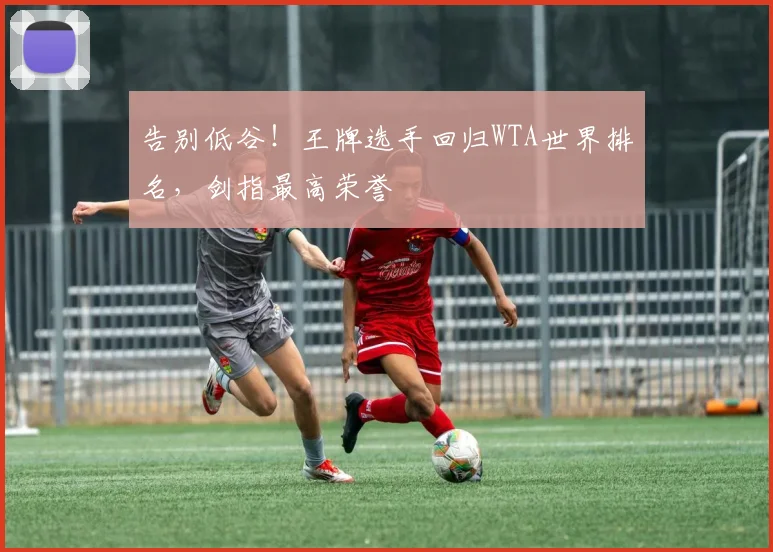 告别低谷！王牌选手回归WTA世界排名，剑指最高荣誉
